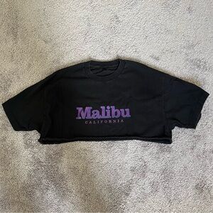 brandy melville/john galt Malibu California black and purple crop top